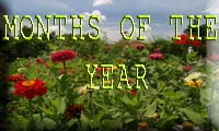 Months of the year